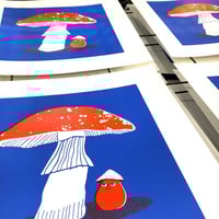 Image 3 of TOADSTOOL (Small)