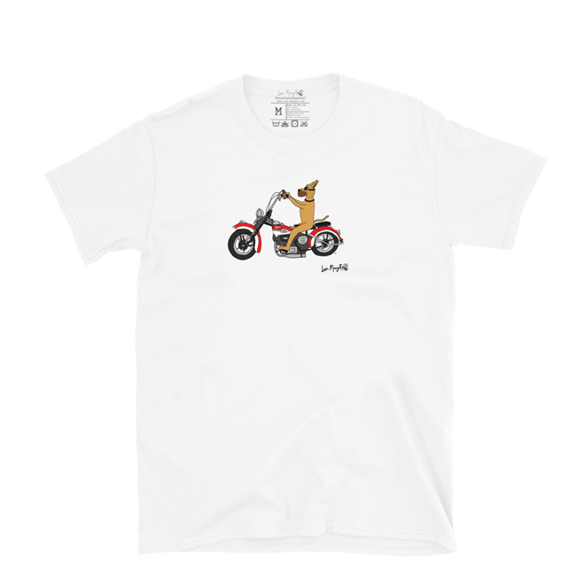 Great Dane | Fawn Great Dane Riding a Harley Davidson