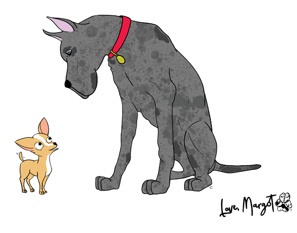 Great Dane Shirt | Merle Great Dane & Chihuahua BFF