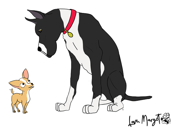 Great Dane Shirt | Mantle Great Dane & Chihuahua BFF