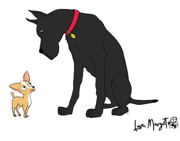 Great Dane Shirt | Black Great Dane & Chihuahua BFF