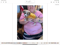 Image 5 of Crochet hotdog dog/cat sweater