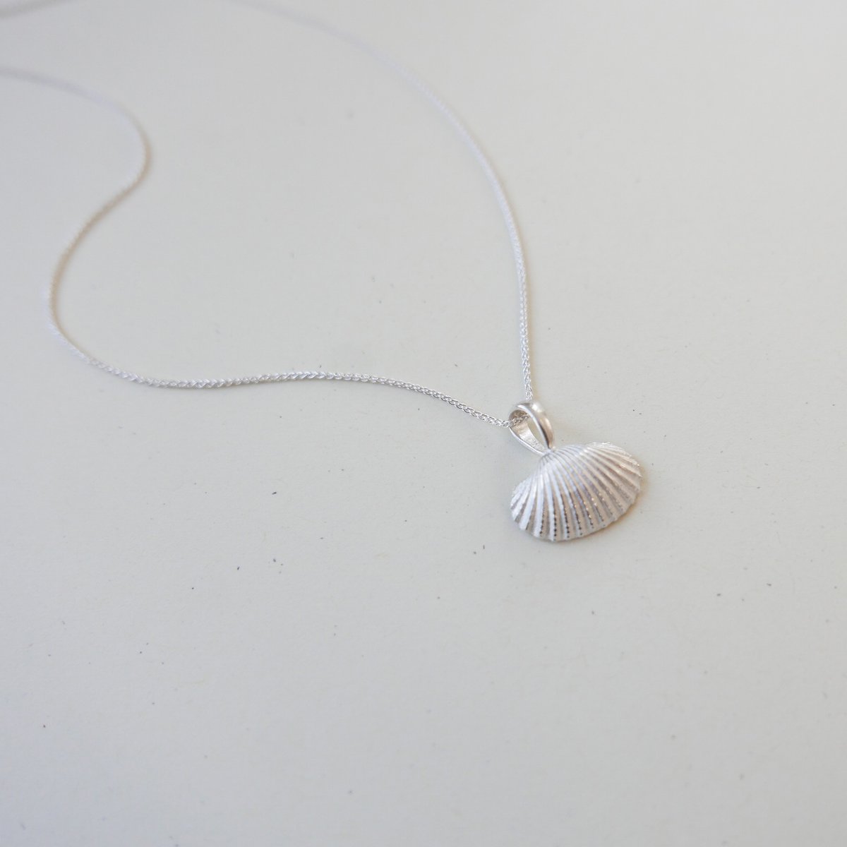 Image of Cockle Shell Necklace