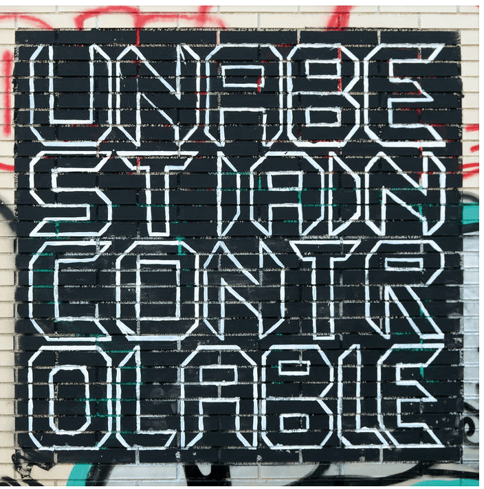 Image of UNA BÈSTIA INCONTROLABLE - "METAMORFOSI" LP