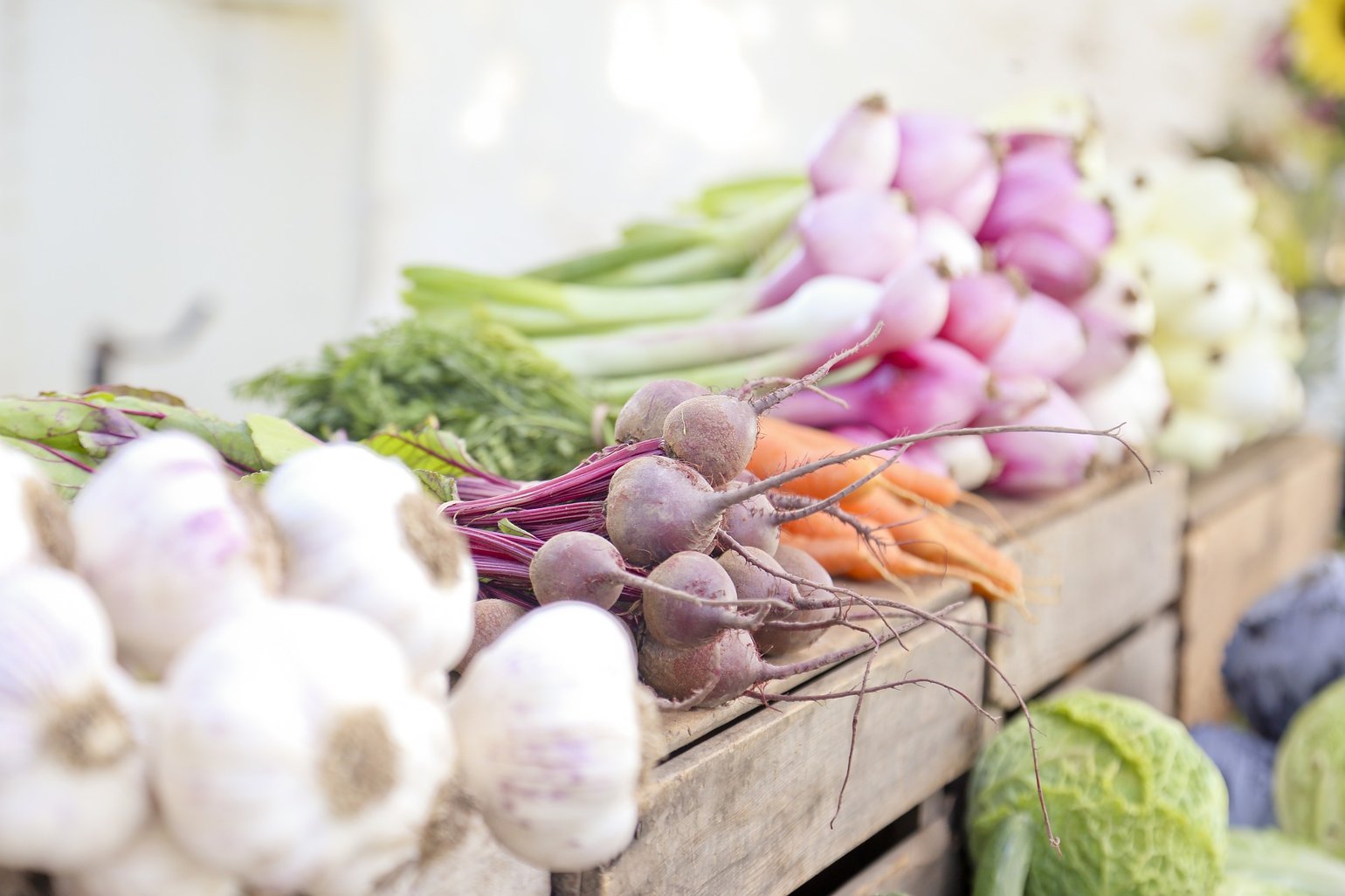 Image of Vegetable Seeds