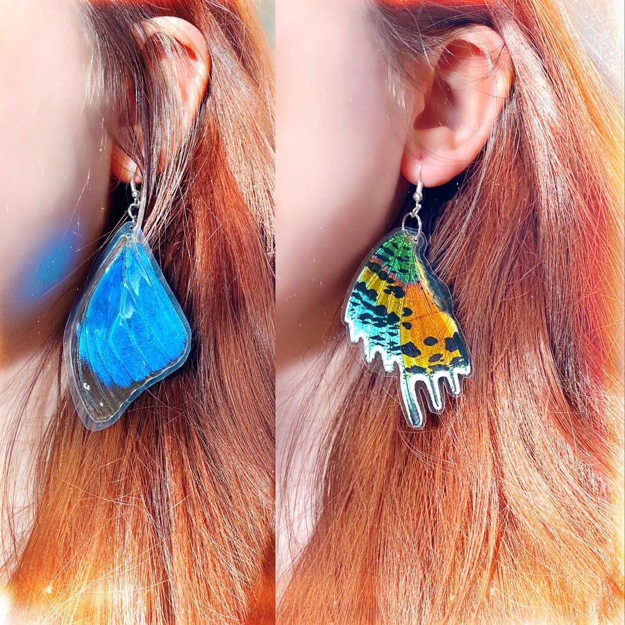 Image of REAL Butterfly Wing Earrings | Cruelty Free
