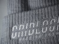 Image 2 of Passion from Pain Embroidered Champion Beanie (Light grey)