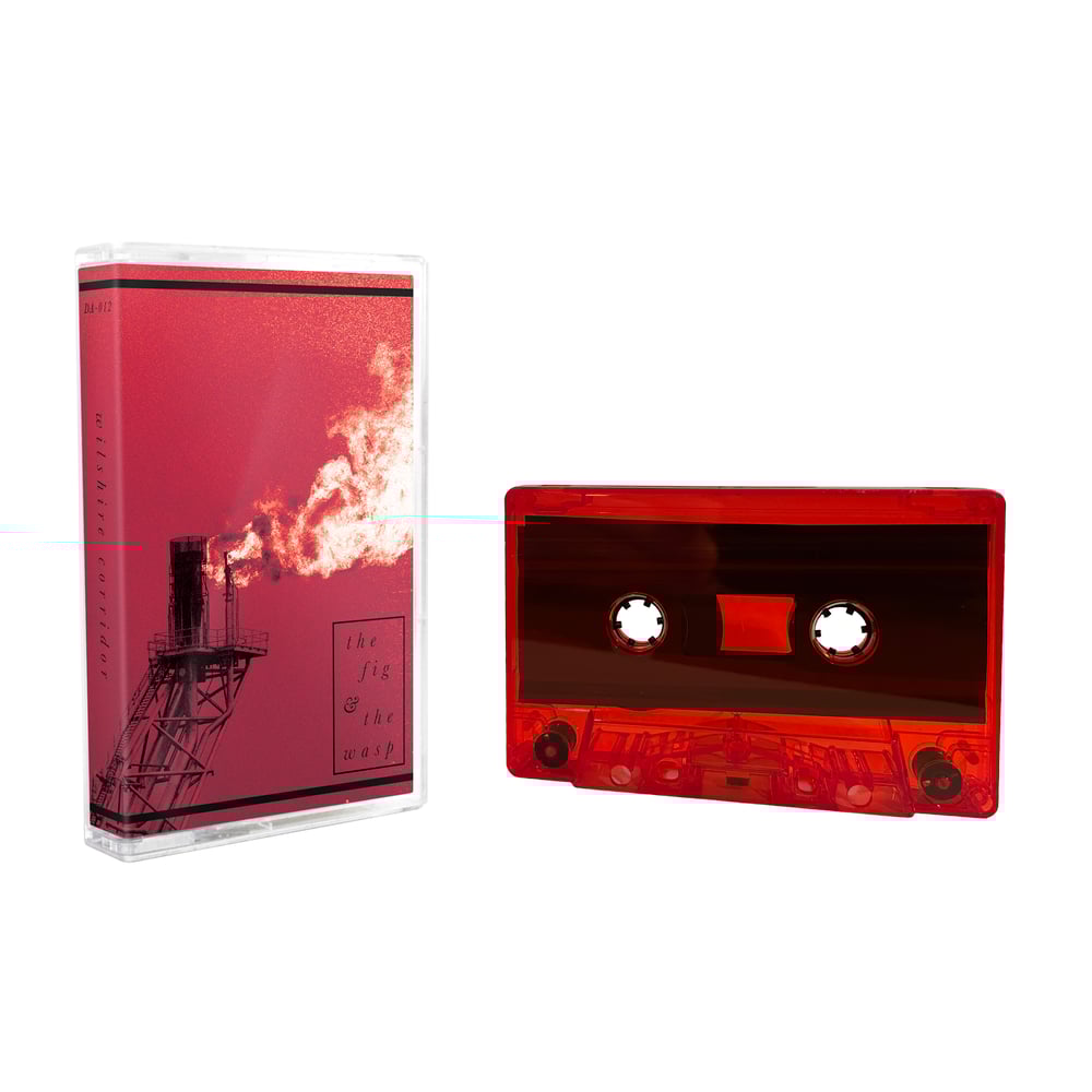 WILSHIRE CORRIDOR - The Fig & the Wasp  [cassette]