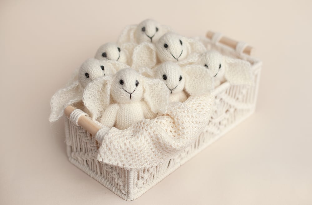 Image of Mohair Bunny Lovie