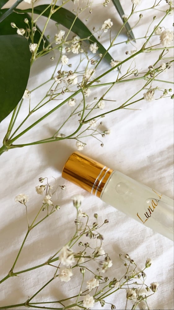 Image of Dream | Lip Oil