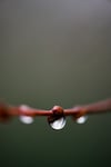 A Drop of Focus