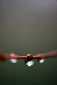 Image 1 of A Drop of Focus