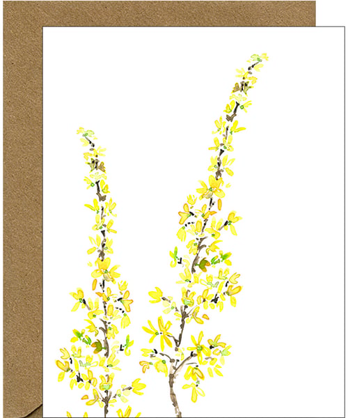 Image of Forsythia Watercolor Floral Blank Note Card