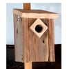 Chickadee Birdhouse