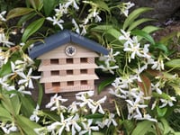 Build Your Own Bee Hotel