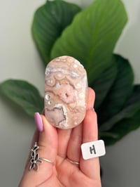 Image 8 of CHOOSE YOUR OWN HQ FLOWER AGATE PALM STONE -MADAGASCAR-