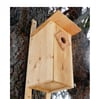 Downy Woodpecker House