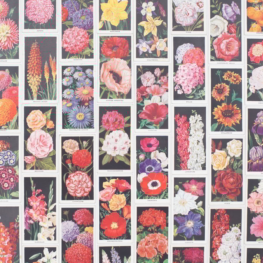Image of Amateur Gardening Cigarette Cards - Set of 8