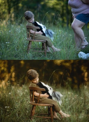 Image of "Feathers & Fluff: Creative editing for children and animal portraits." $99 value