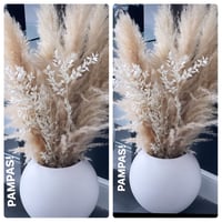 Image 3 of NEW - MEGA pampas arrangement