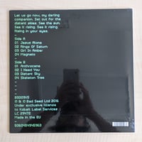 Image 2 of Nick Cave & The Bad Seeds - Skeleton Tree