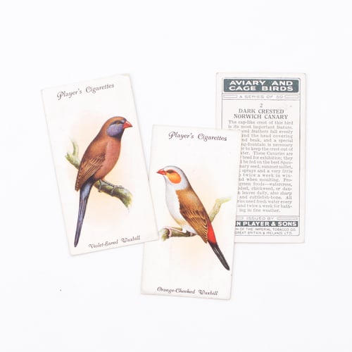 Image of Aviary and Cage Birds Cigarette Cards - Set of 8