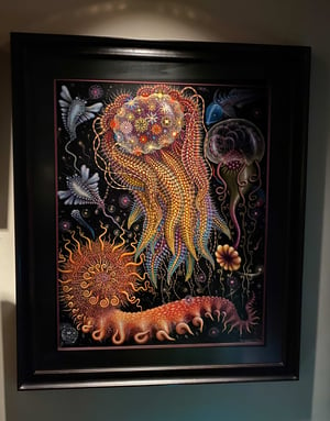 Image of The HYDROZOA /DEVOURING STARJELLY COLLECTION • Both sold together!