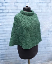 Image 2 of Hosta poncho