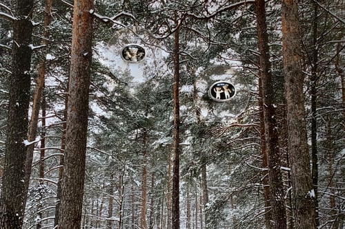 Image of "To live happily" teddy-bear’s silver ring with photo and rock crystal  · AD BEATE VIVENDUM ·