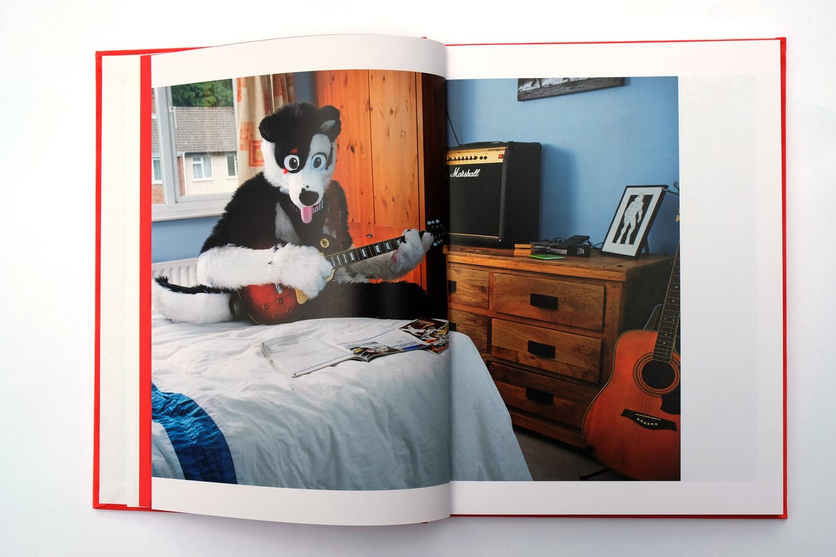 Image of At Home With The Furries by Tom Broadbent