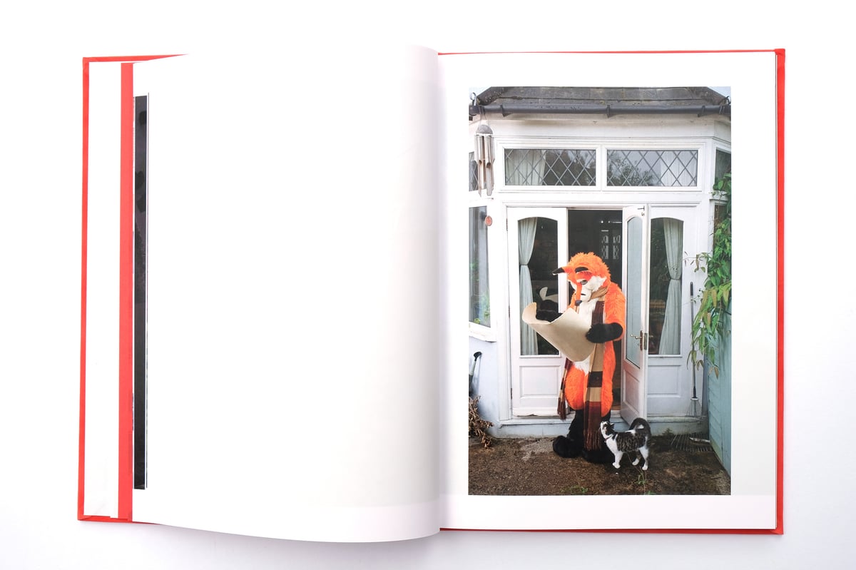 Image of At Home With The Furries by Tom Broadbent