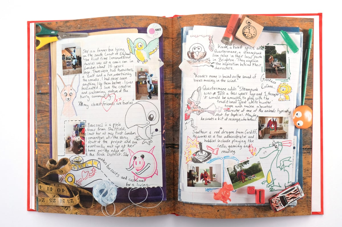 Image of At Home With The Furries by Tom Broadbent