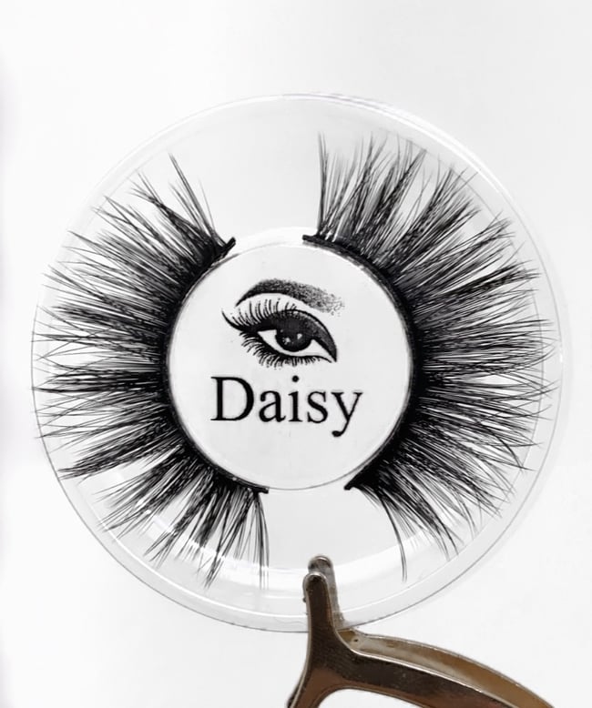 Daisy Lash