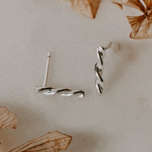 Image of Twisted Earrings