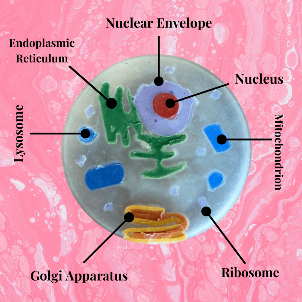 Image of Cell Soap