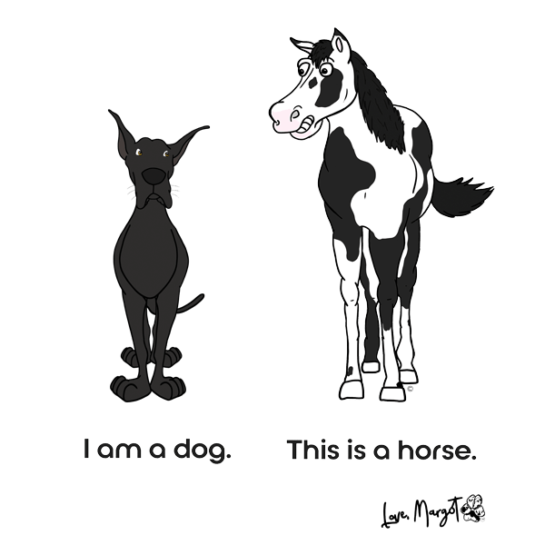 Great Dane Shirt | Black Great Dane vs. Horse "Dog or Horse"