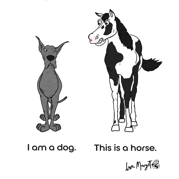 Great Dane Shirt | Merle Great Dane vs. Horse "Dog or Horse"
