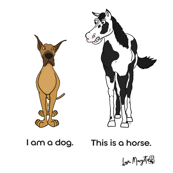Great Dane Shirt | Fawn Great Dane vs. Horse "Dog or Horse"