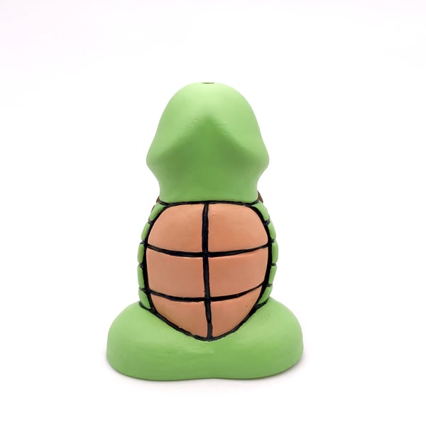 Image of Turtle dong