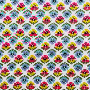 Image of MIRANDA SKYE  ( C )