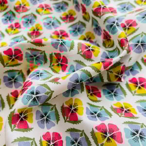 Image of MIRANDA SKYE  ( C )