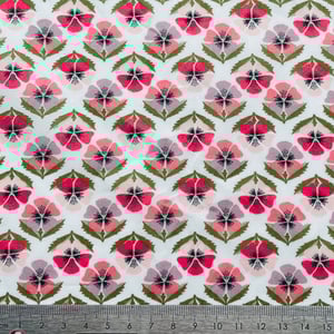 Image of MIRANDA SKYE ( A )