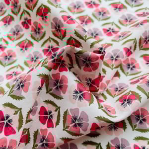 Image of MIRANDA SKYE ( A )