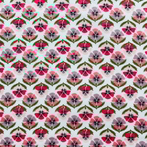 Image of MIRANDA SKYE ( A )