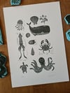 Print: Sea Creatures