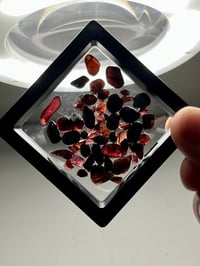Image 6 of Garnet Gemstones | Harts Range Australia #2789