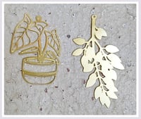 Charm's nature luxuriante
