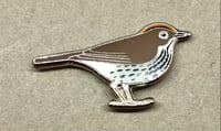 Image 3 of March 2021 UK Birding Pin Releases