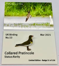 Image 1 of Collared Pratincole - March 2021