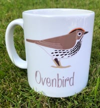 Ovenbird Mug